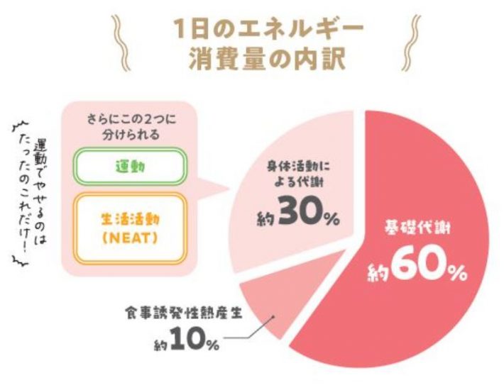 松田リエの12kgやせた！　1か月献立カレンダー