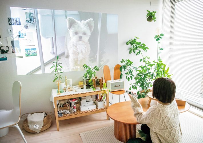 映像はホームプロジェクターを愛用