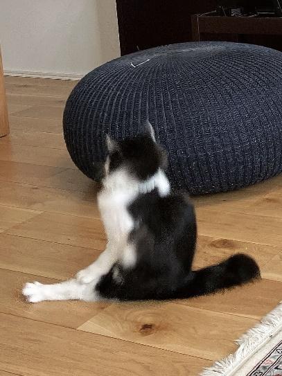 尻もちをついた瞬間