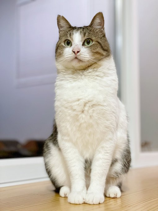 すっかり甘えん坊に