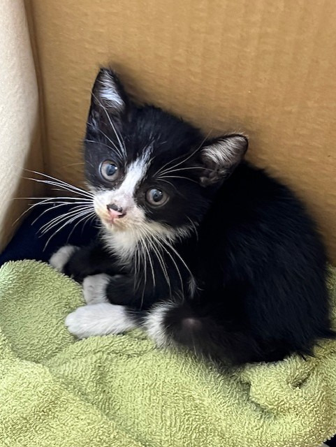 保護当日、病院後に撮られた写真