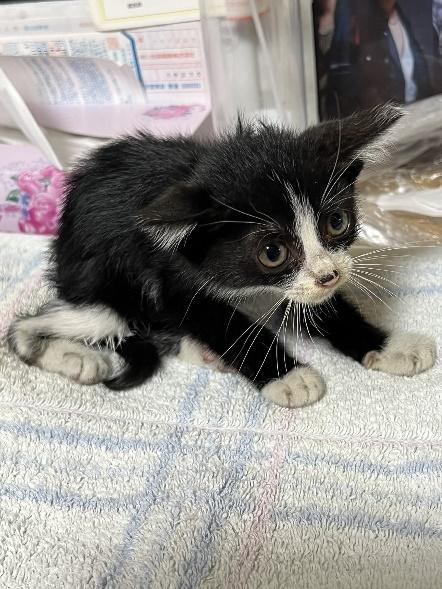 幼少期のぴのちゃん