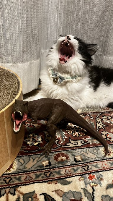 恐竜フィギュアと奇跡のシンクロ！