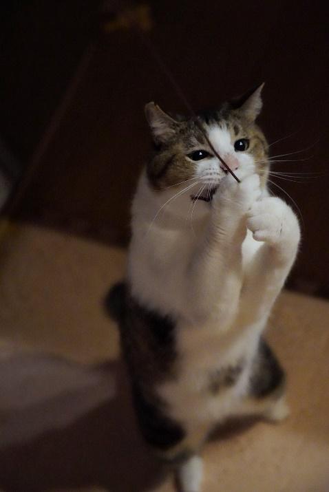 実は運動神経がニブい一面も