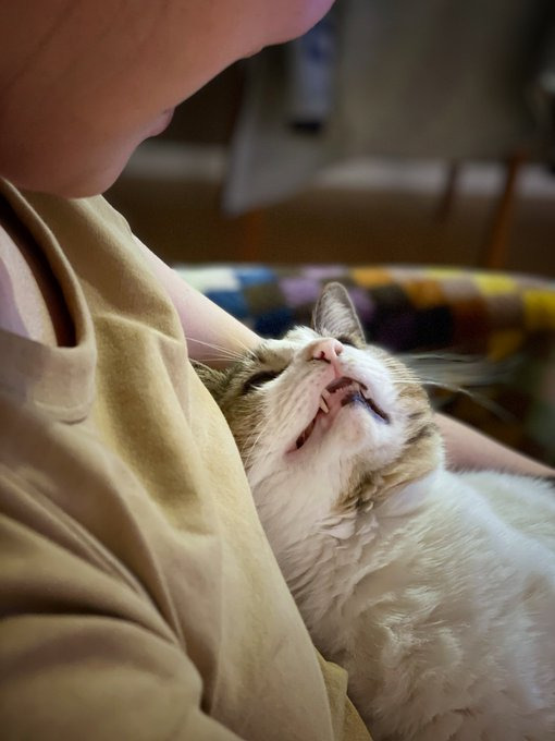 腕の中でうっとり