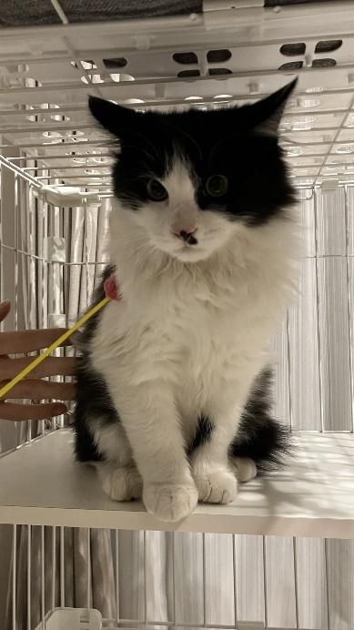 お迎え当初のお写真