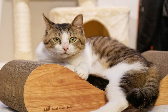 譲渡当日の記念すべき1枚