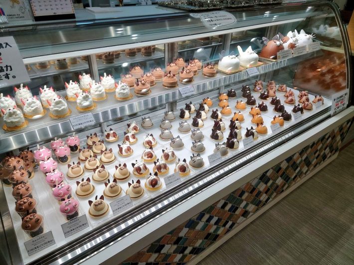 ずらりと並ぶたくさんの猫・猫・猫!