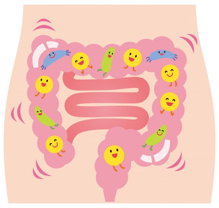 腸活　腸内環境