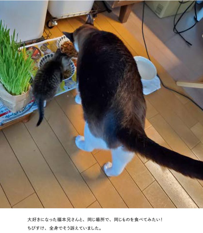 隣でゴハンをいただくことに成功