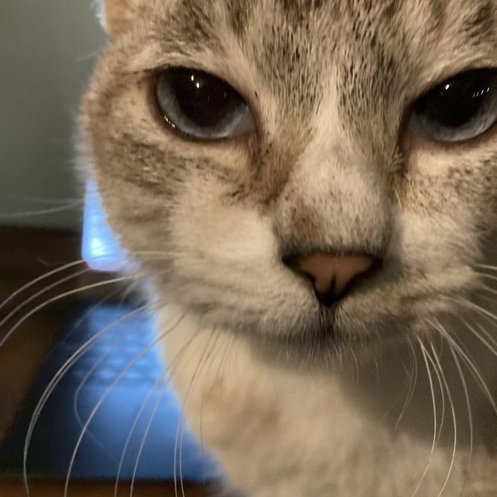 何も進まずに帰ることも多い