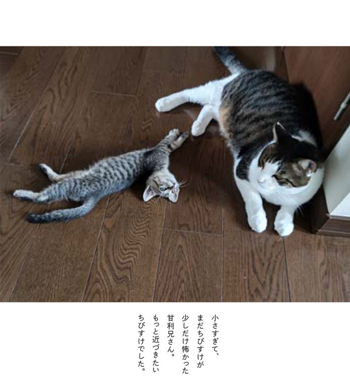 ぐいーんと伸びた体と上目遣い