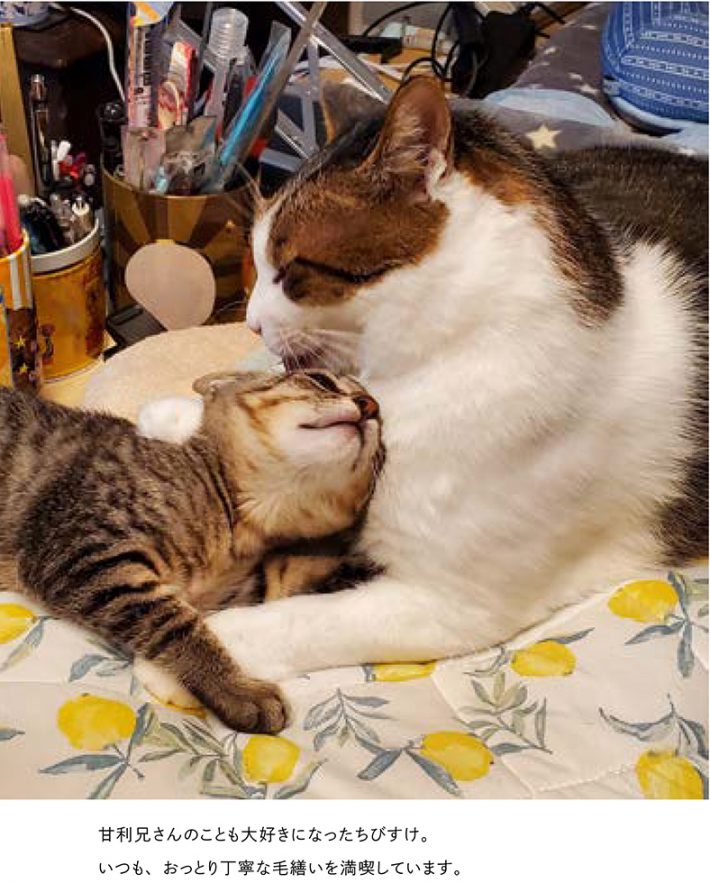 最高の愛情表現