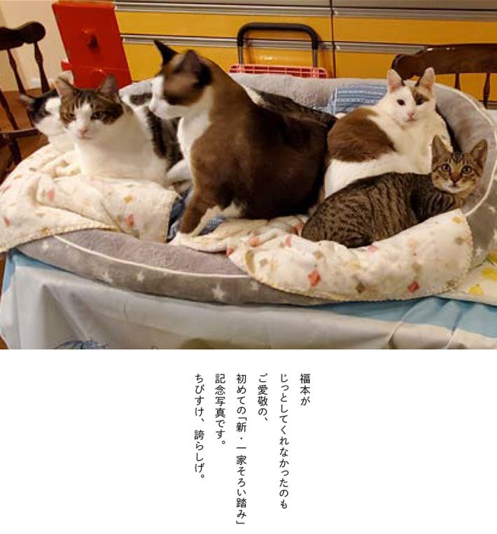 ちびすけ、家族の一員になる