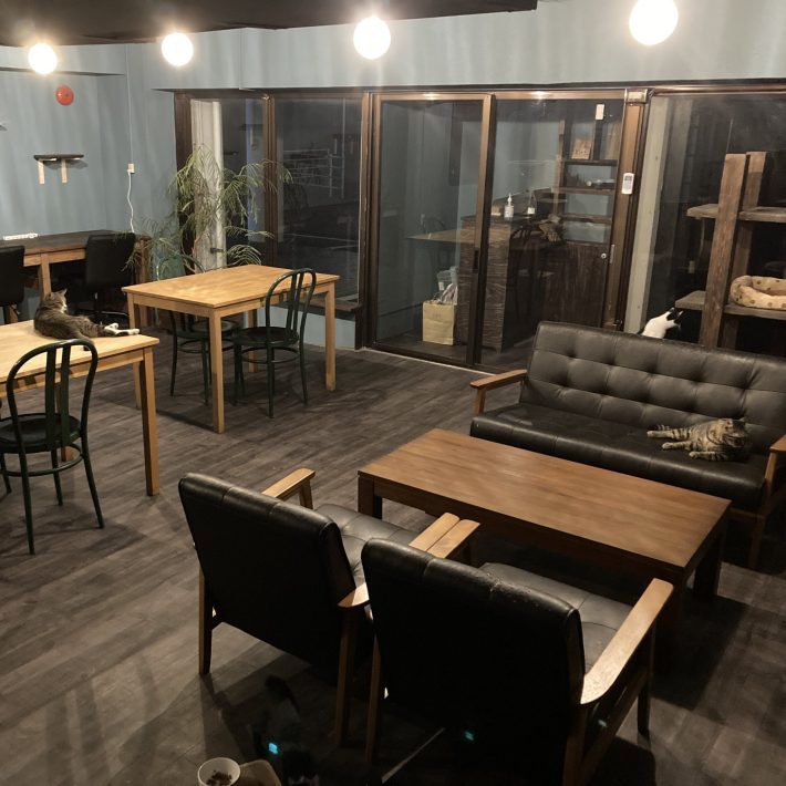 ネコハラ店内の様子