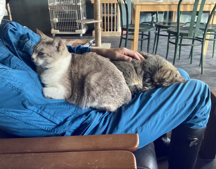 行政の協力が不可欠