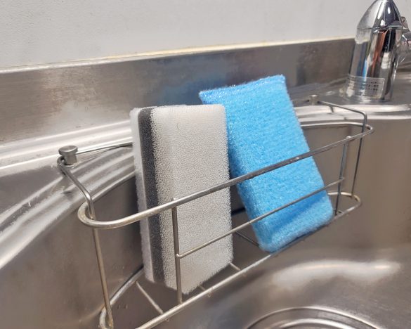 スポンジ博士に教えてもらったことを実践しています