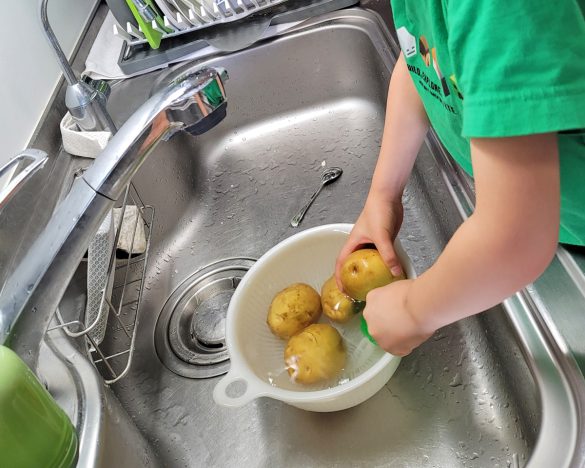 ジャガイモは洗いながら、芽の数を報告してくれるようになりました