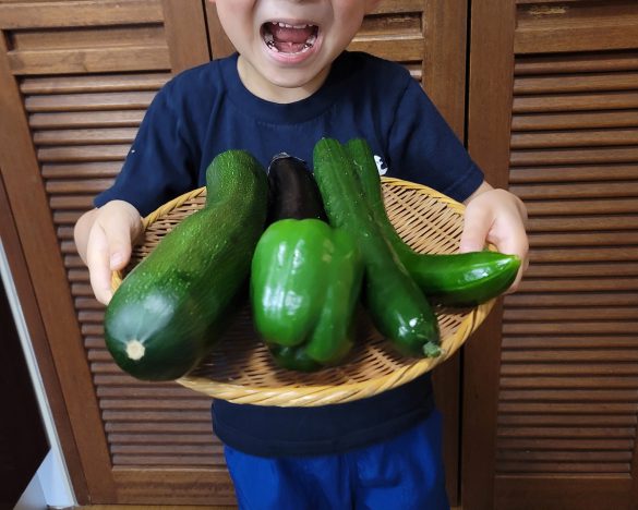 保育園の遠足で収穫してきた野菜を数えたり、重さを測ったり。親はどう寄り添うべき？