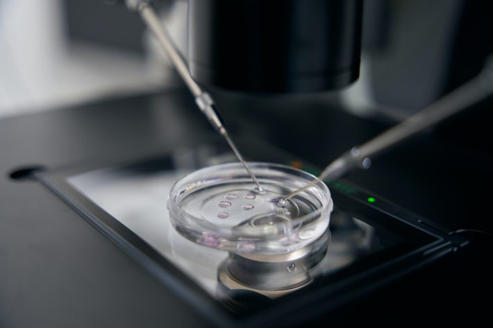 卵子凍結という選択肢もある