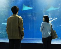 ©︎フジテレビ