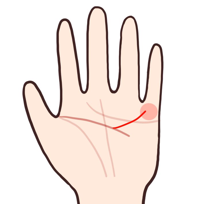 将来安泰　手相