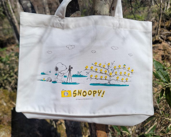 バッグに描かれているのは、写真撮影のワンシーン