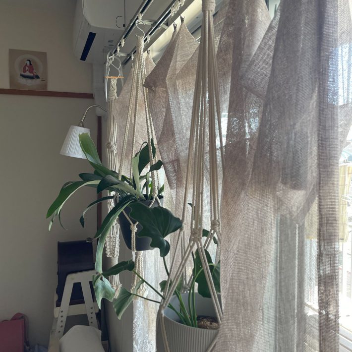 カーテンレールに吊り下げている植物