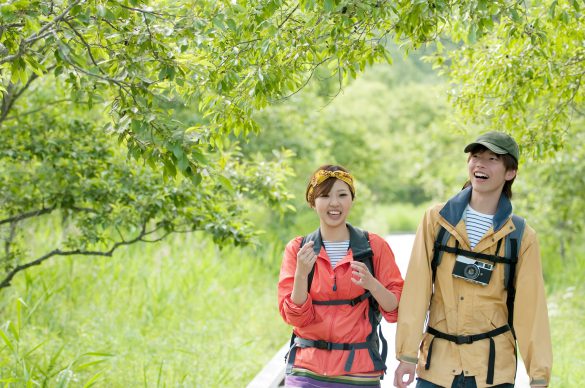 AdobeStock_126610638