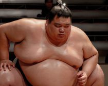 Netflixシリーズ「サンクチュアリ -聖域-」独占配信中