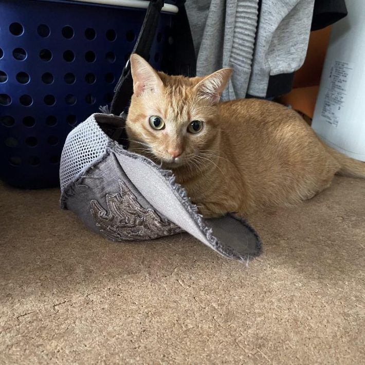 帽子によりかかるミミちゃん