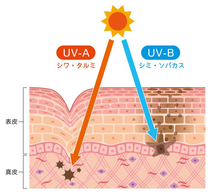 UVAとUVB