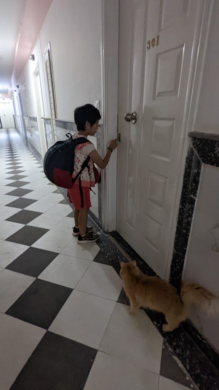 かかさんの娘さん