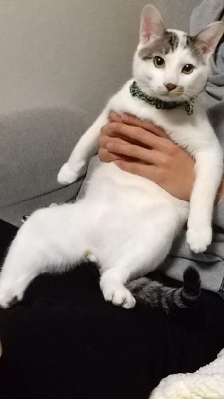 息子さんに抱きかかえられた時の写真