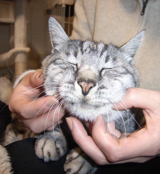 3兄弟の末っ子だった豆くん