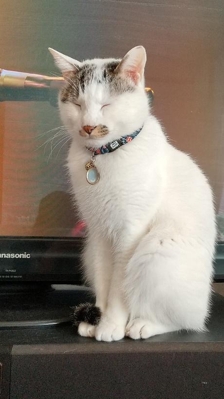 座りながらのんびり