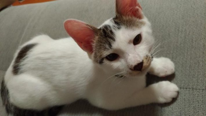 徐々に環境に慣れてくれた