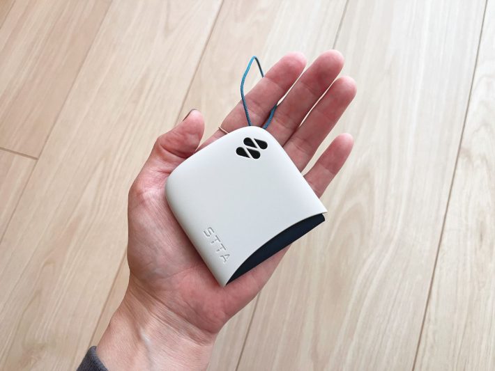 手のひらに乗るくらいのサイズ感