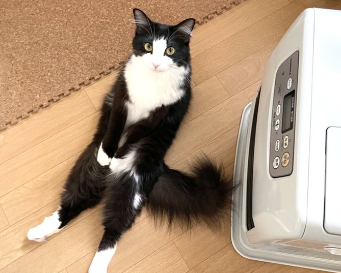 ストーブの前で座るレオンくん