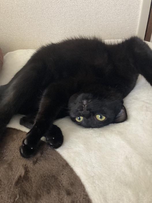 ユニークなポーズも披露