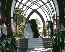 モンチッチ結婚式