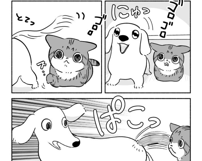 ちとせアイキャッチ