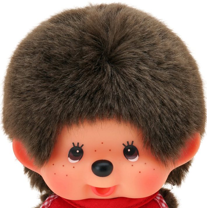 モンチッチの顔のアップ写真