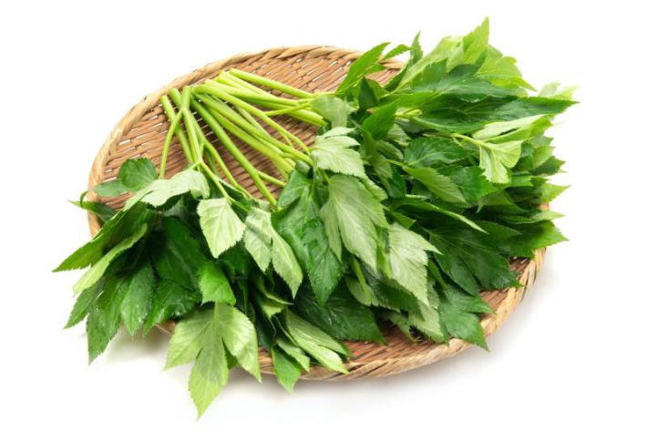 がん母闘病沼202308