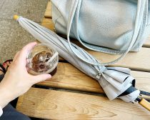 「サンバリア100」日傘