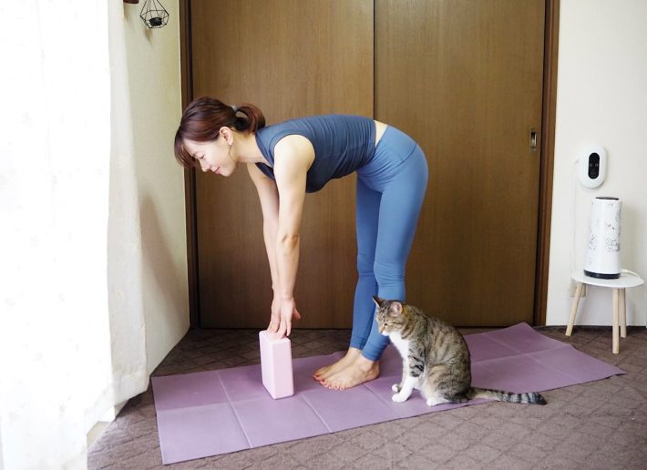 ダイソー220円の「ヨガブロック」