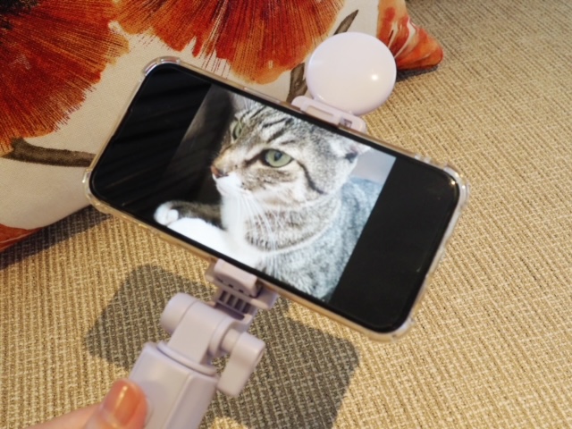 3coins_ledtripod_230531_1