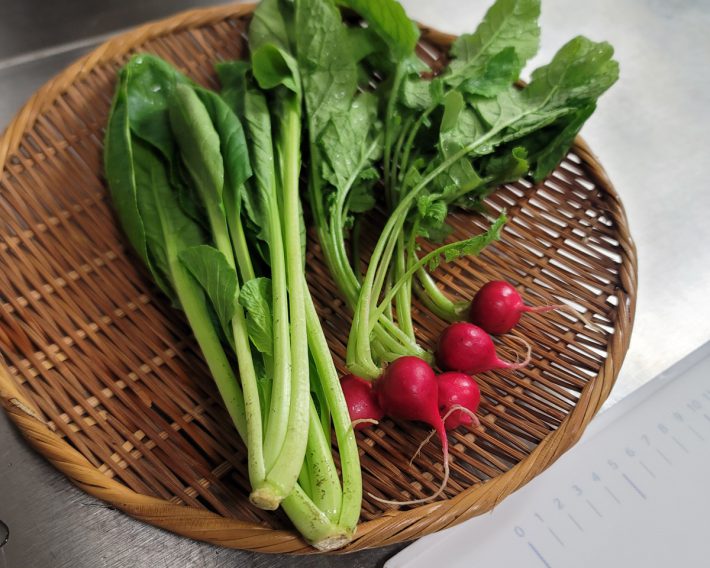 野菜は苦くてまずい？