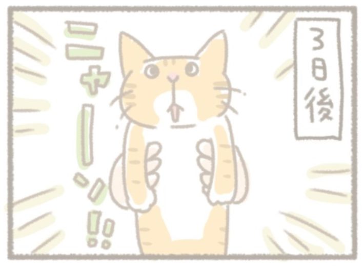 画／上野うね（画像：Kanmi.ウェブサイトより）