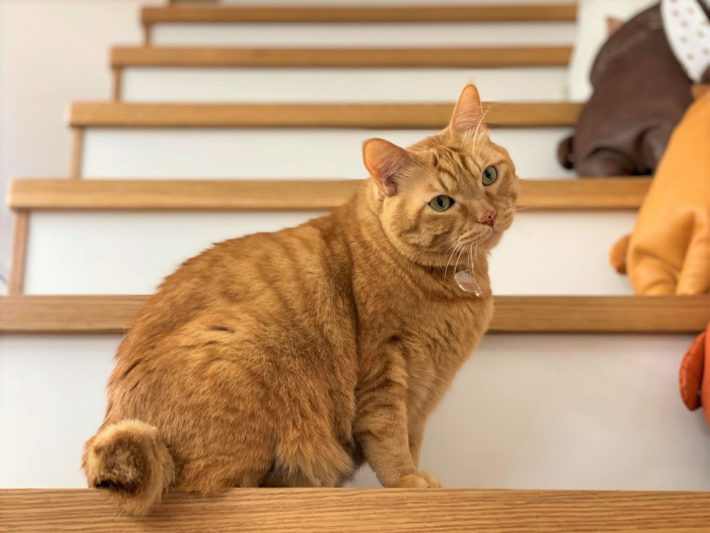 浅草革小物Kanmi.